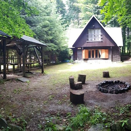 מודרה Slovak Cottage Near Bratislava In The Heart Of The Carpathians מראה חיצוני תמונה