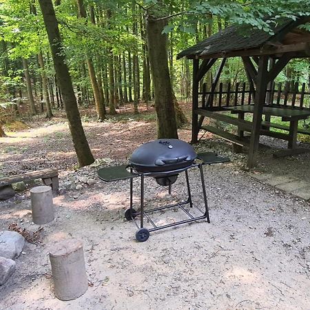 מודרה Slovak Cottage Near Bratislava In The Heart Of The Carpathians מראה חיצוני תמונה