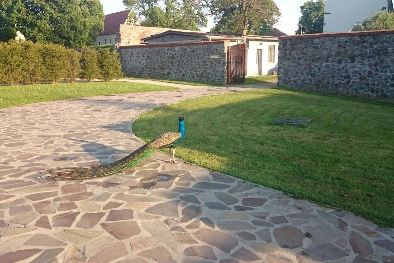 מודרה Slovak Cottage Near Bratislava In The Heart Of The Carpathians מראה חיצוני תמונה