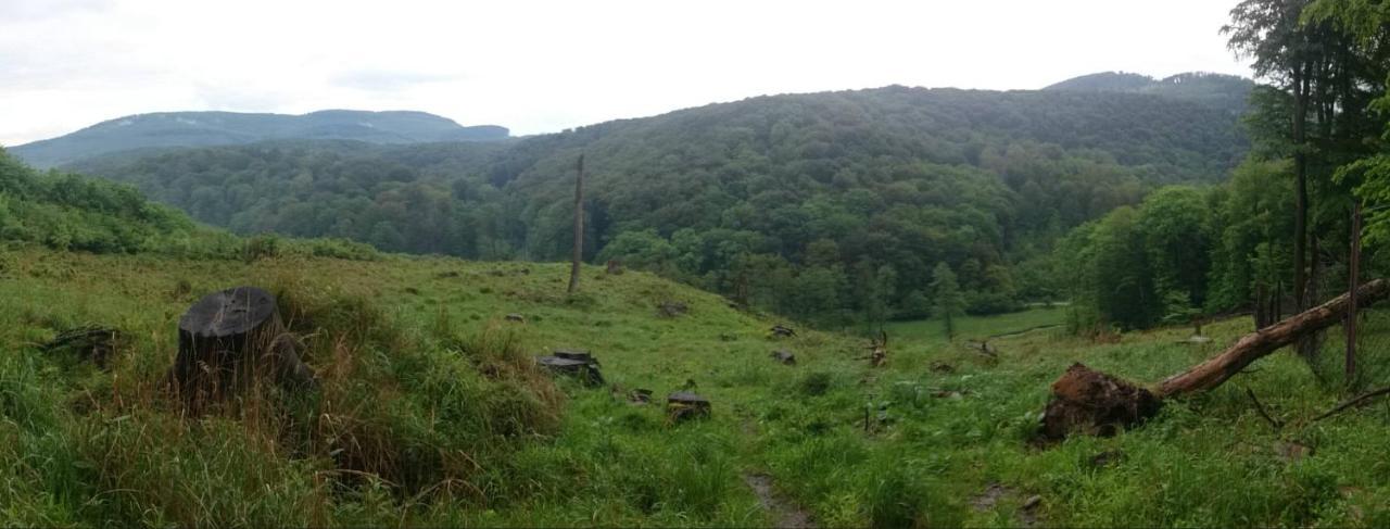 מודרה Slovak Cottage Near Bratislava In The Heart Of The Carpathians מראה חיצוני תמונה