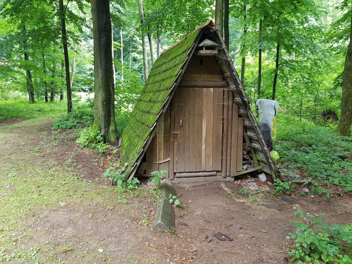 מודרה Slovak Cottage Near Bratislava In The Heart Of The Carpathians מראה חיצוני תמונה