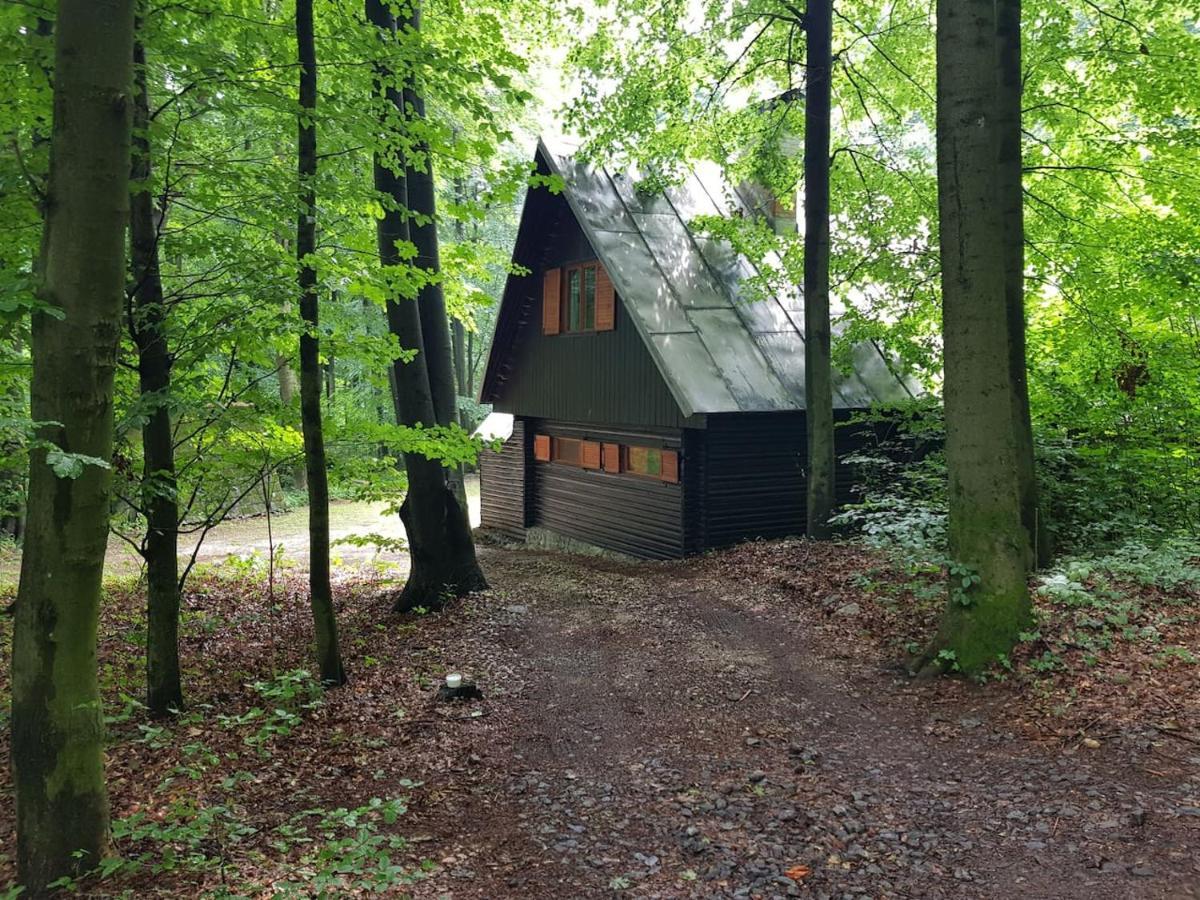 מודרה Slovak Cottage Near Bratislava In The Heart Of The Carpathians מראה חיצוני תמונה