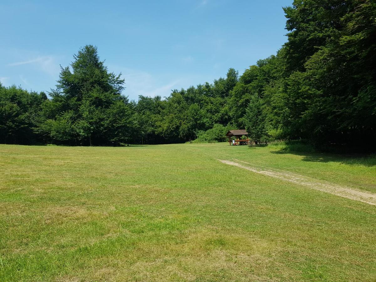מודרה Slovak Cottage Near Bratislava In The Heart Of The Carpathians מראה חיצוני תמונה