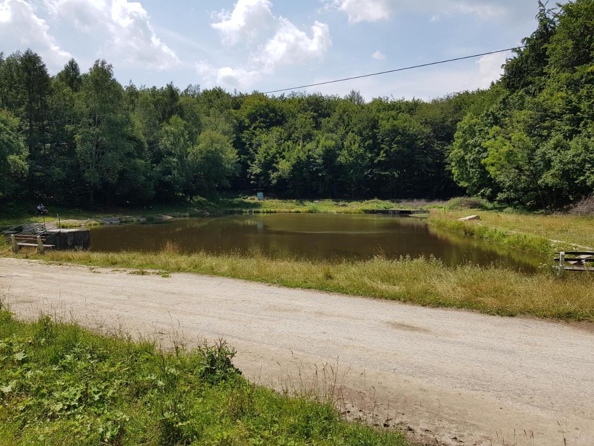 מודרה Slovak Cottage Near Bratislava In The Heart Of The Carpathians מראה חיצוני תמונה